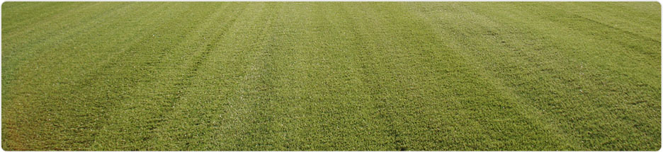 Travni tepih, travna ruša